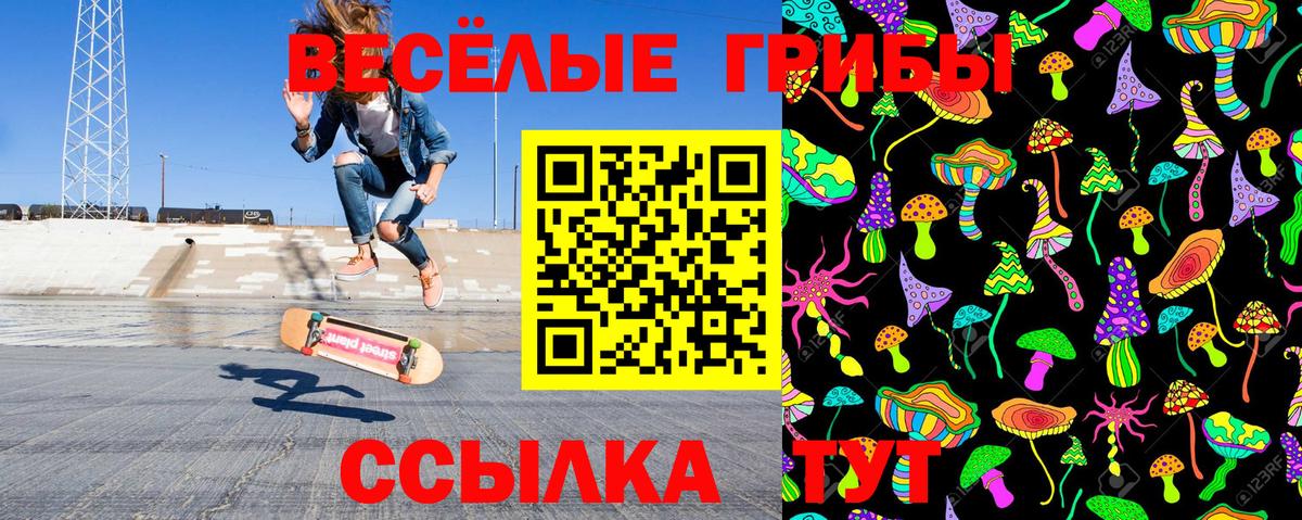 Ейск  Псилоцибиновые грибы MAGIC MUSHROOMS  Псилоцибиновые грибы мухоморы  Вход с VPN 
