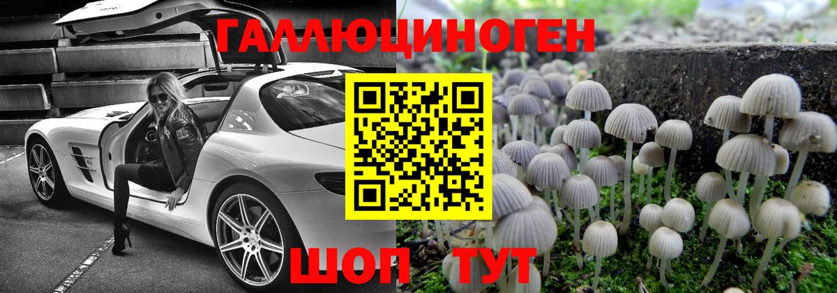 Псилоцибиновые грибы мухоморы Ейск